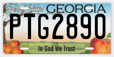 GA license plate PTG2890