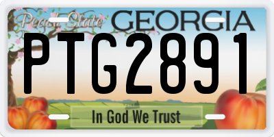 GA license plate PTG2891