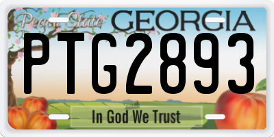 GA license plate PTG2893