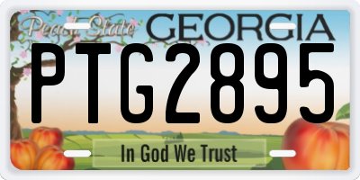 GA license plate PTG2895
