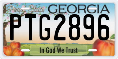 GA license plate PTG2896