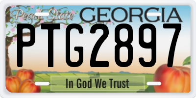 GA license plate PTG2897