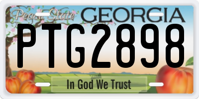 GA license plate PTG2898