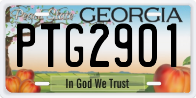 GA license plate PTG2901