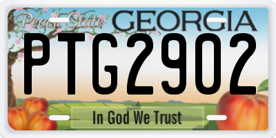 GA license plate PTG2902