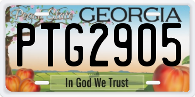 GA license plate PTG2905
