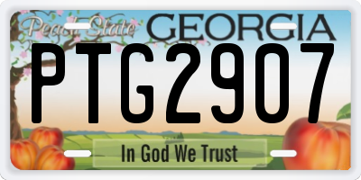 GA license plate PTG2907