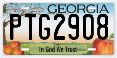 GA license plate PTG2908