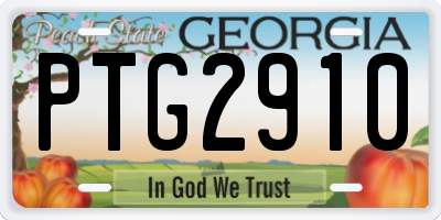 GA license plate PTG2910