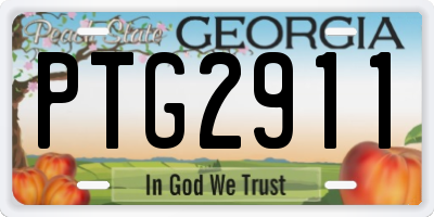 GA license plate PTG2911