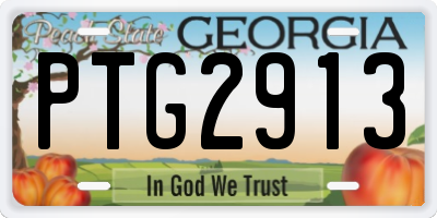 GA license plate PTG2913