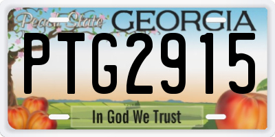 GA license plate PTG2915