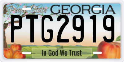 GA license plate PTG2919