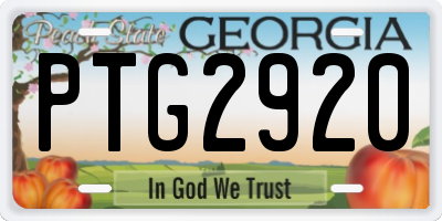 GA license plate PTG2920
