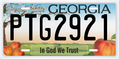 GA license plate PTG2921