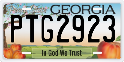 GA license plate PTG2923