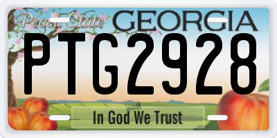 GA license plate PTG2928