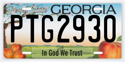 GA license plate PTG2930