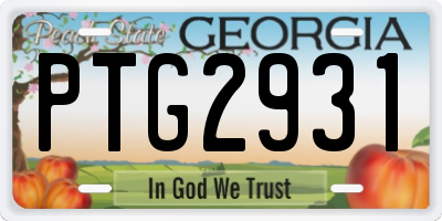 GA license plate PTG2931