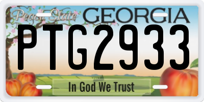 GA license plate PTG2933