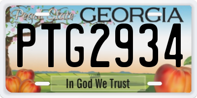 GA license plate PTG2934