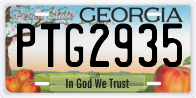 GA license plate PTG2935