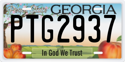 GA license plate PTG2937