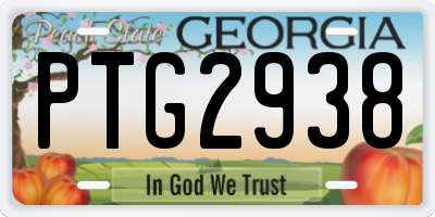 GA license plate PTG2938