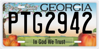 GA license plate PTG2942
