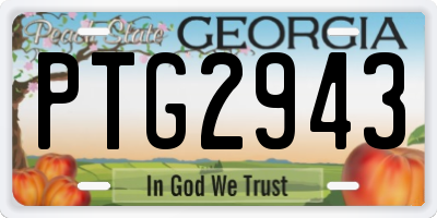 GA license plate PTG2943