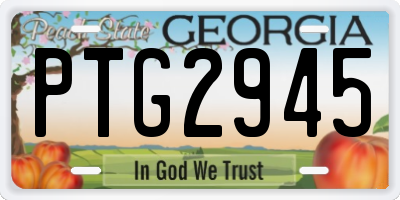 GA license plate PTG2945