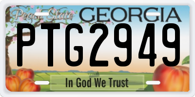 GA license plate PTG2949