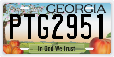 GA license plate PTG2951