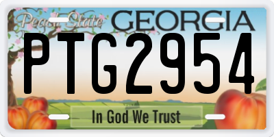 GA license plate PTG2954