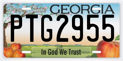 GA license plate PTG2955