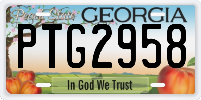 GA license plate PTG2958