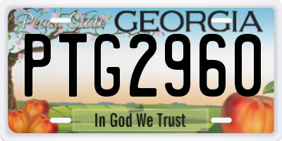GA license plate PTG2960