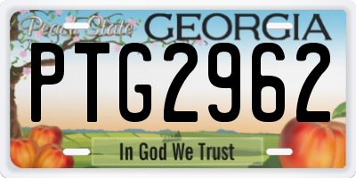 GA license plate PTG2962