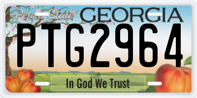 GA license plate PTG2964
