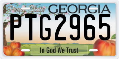 GA license plate PTG2965
