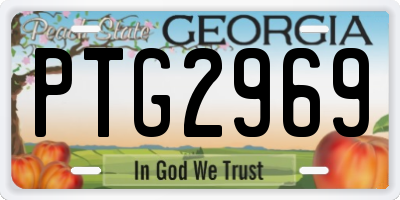 GA license plate PTG2969