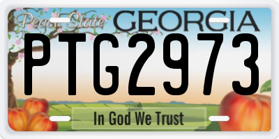 GA license plate PTG2973