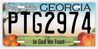 GA license plate PTG2974