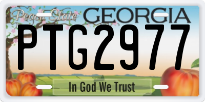 GA license plate PTG2977