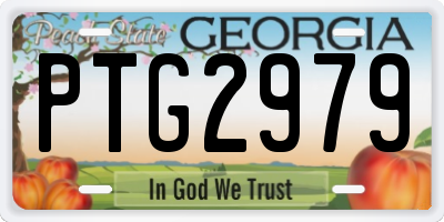 GA license plate PTG2979