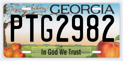 GA license plate PTG2982
