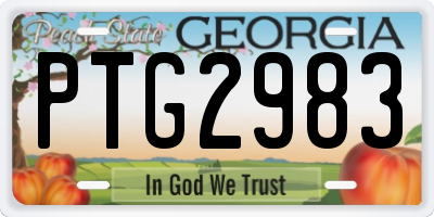 GA license plate PTG2983