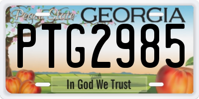 GA license plate PTG2985