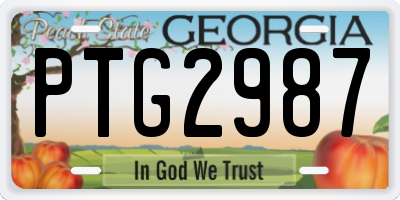GA license plate PTG2987