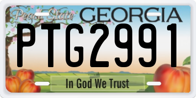 GA license plate PTG2991